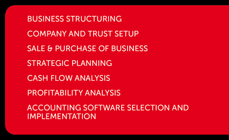 business structuring company and trust setup sale & purchase of business strategic planning cash flow analysis profitability analysis accounting software selection and implementation